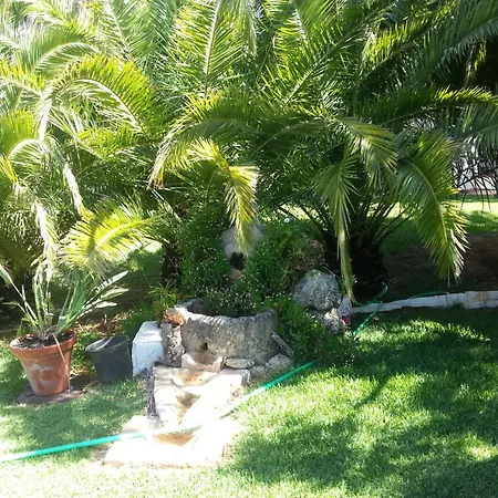 Vakantiehuis El Olivar De Roche Viejo Conil De La Frontera