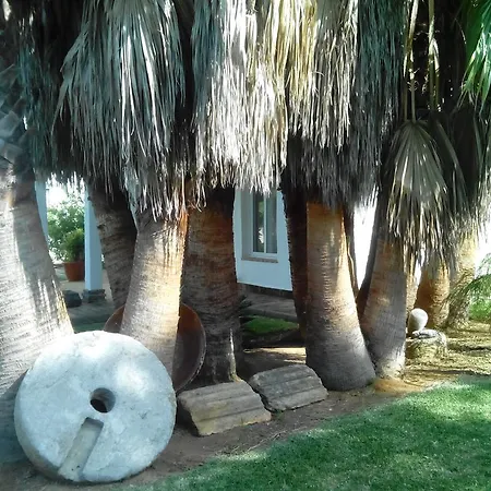 Сasa de vacaciones El Olivar De Roche Viejo *