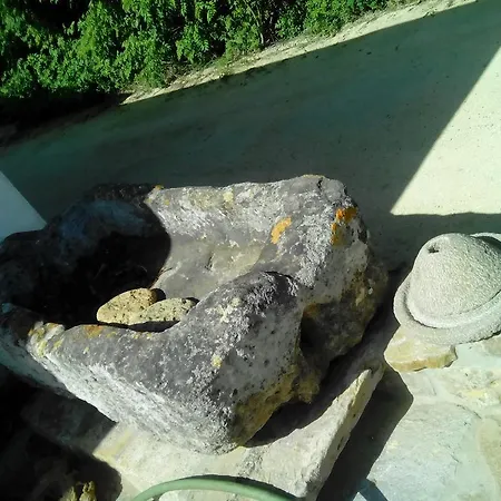 El Olivar De Roche Viejo Conil De La Frontera